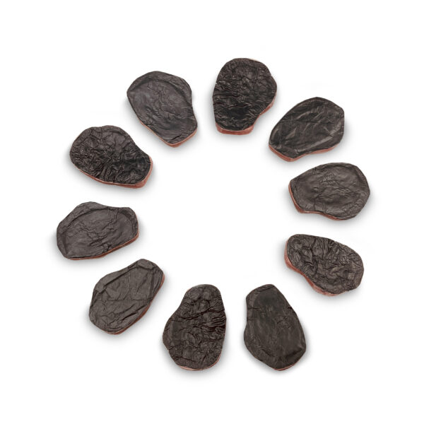 Kit of 10 pressure ulcer replacements