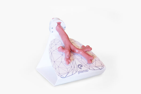 Bronchoscopy Simulator