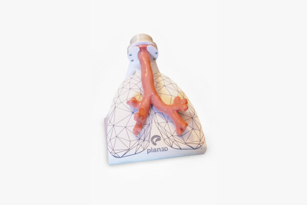 Bronchoscopy Simulator