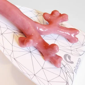 Bronchoscopy Simulator