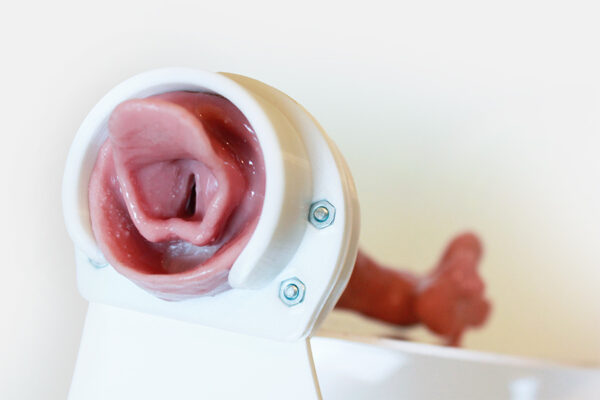 Bronchoscopy Simulator