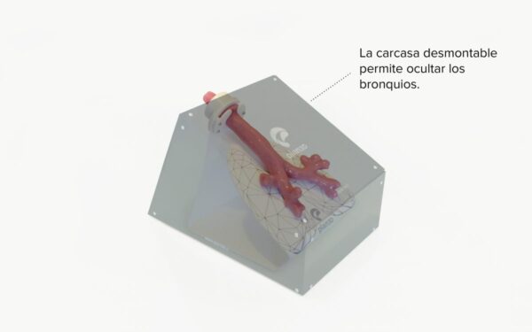 Bronchoscopy Simulator