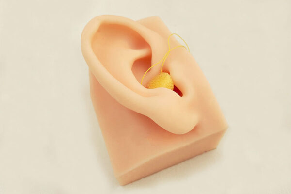 conducto auditivo 02 External auditory canal model (left side)