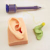 conducto auditivo 05 External auditory canal model (left side)