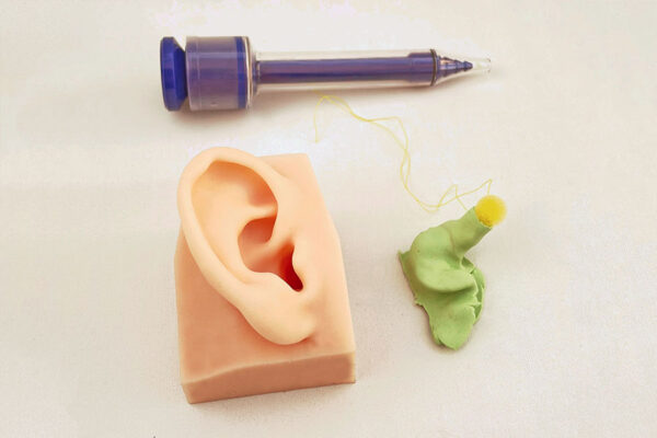 conducto auditivo 05 External auditory canal model (left side)