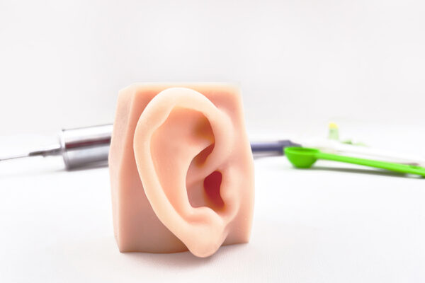 conducto auditivo 08 External auditory canal model (left side)