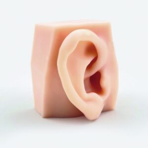 External auditory canal model