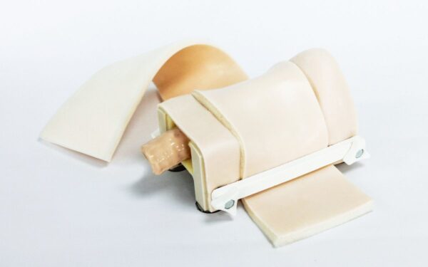 Cricothyroidotomy Simulator