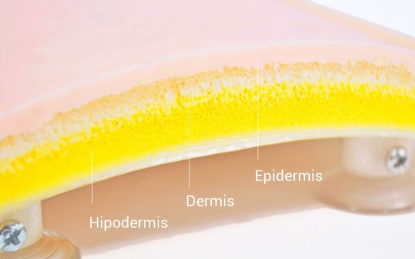 Three-layer skin for suturing