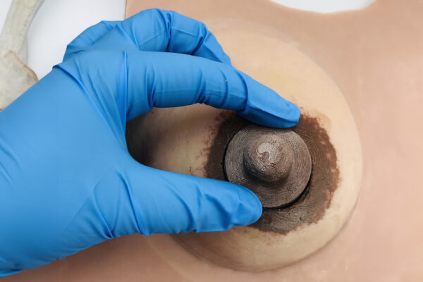 Breast Simulator (2 In 1)