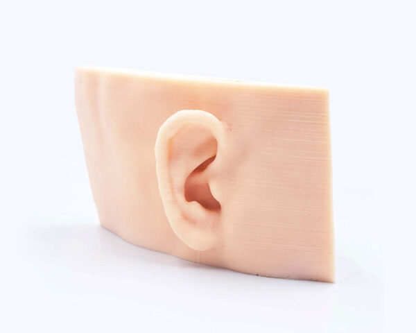 inner_ear_01 Inner ear simulator