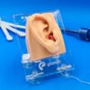 Support for external auditory canal model